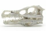 Carved Labradorite Dinosaur Skull #218493-1